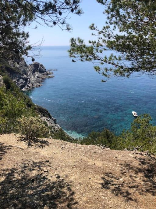 Charmant Studio Dans Villa - Parking - Jardin La Seyne-sur-Mer Eksteriør billede
